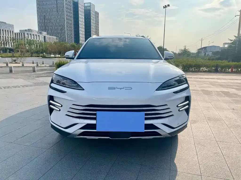 BYD PLUS New Energy — фото 3