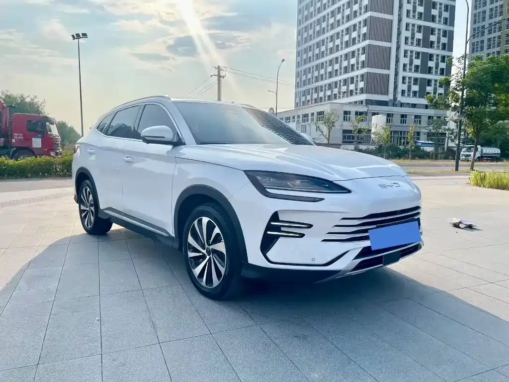 BYD PLUS New Energy — фото 9