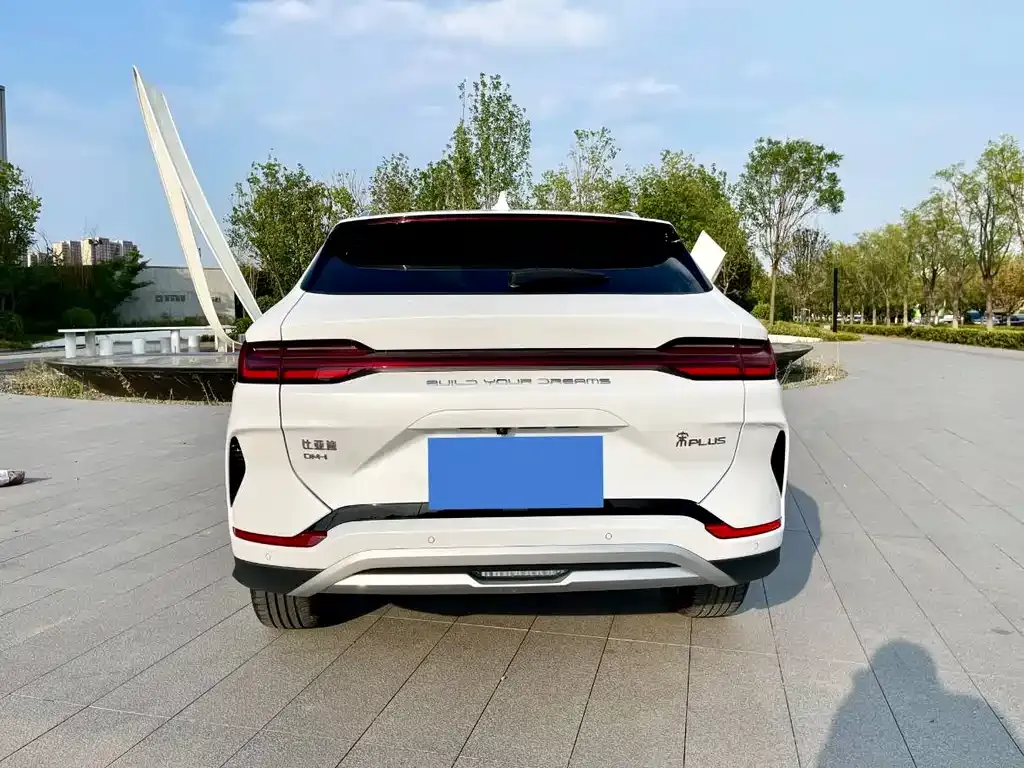 BYD PLUS New Energy — фото 10