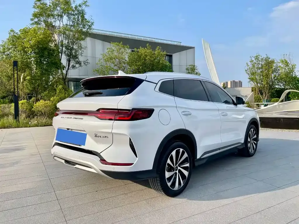 BYD PLUS New Energy — фото 8