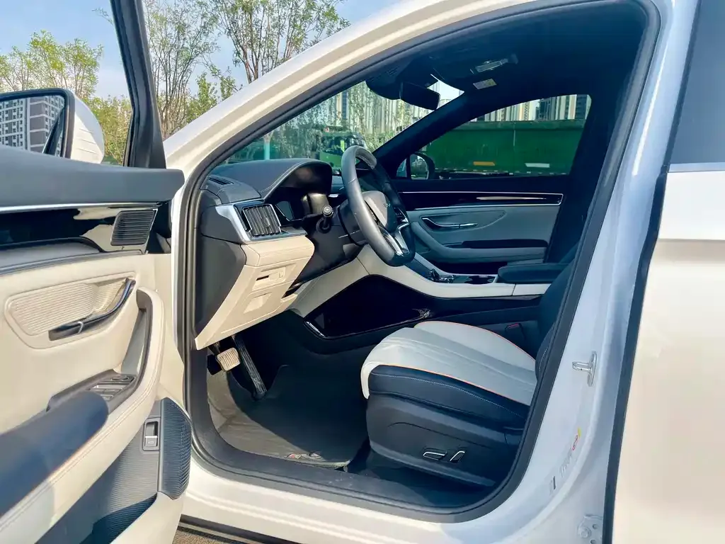 BYD PLUS New Energy — фото 4