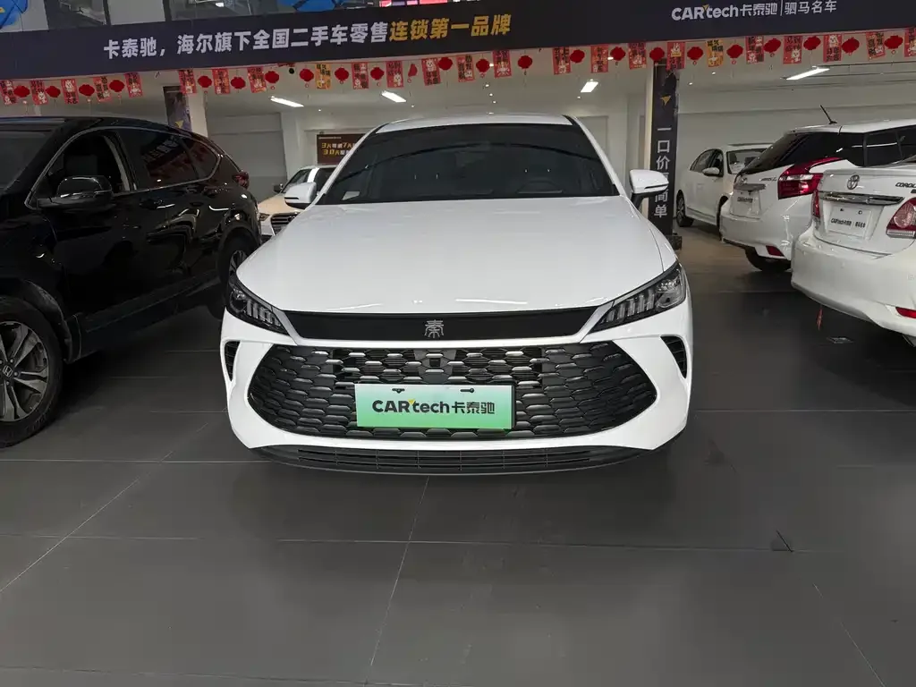 BYD Qin PLUS — фото 6