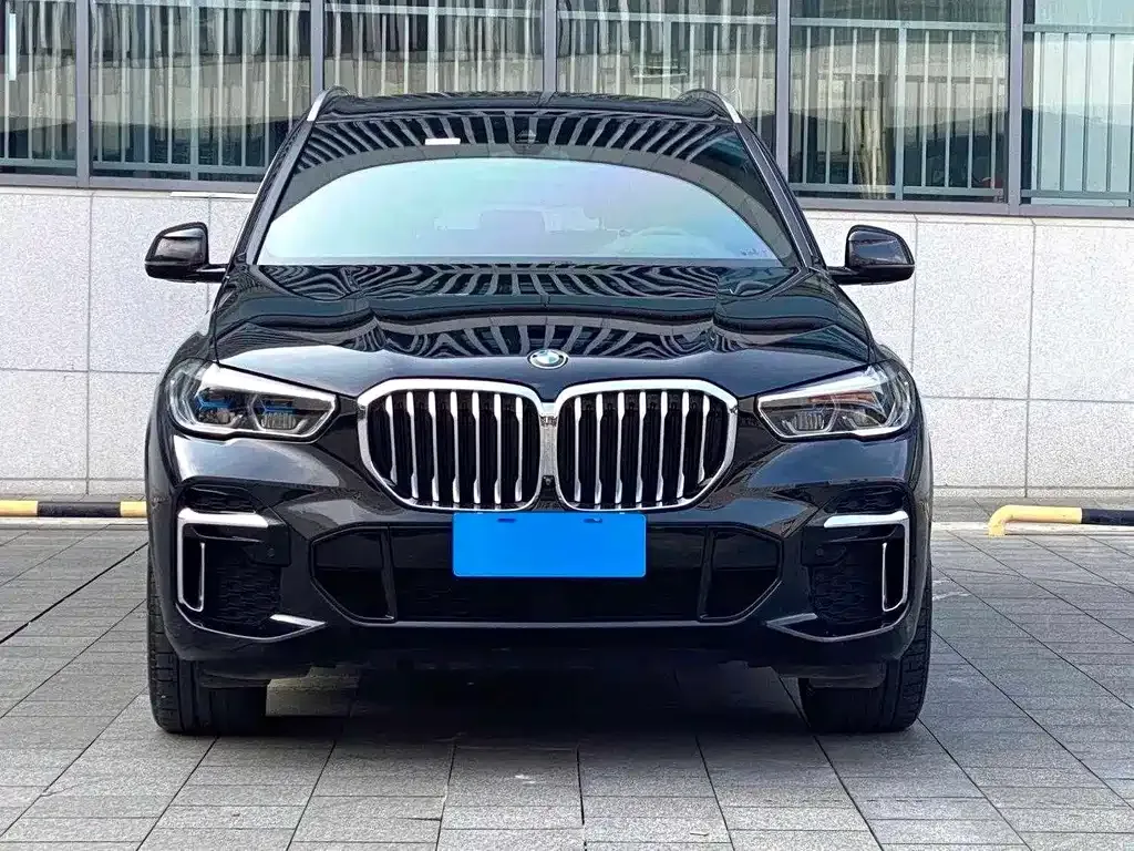 BMW X5 — фото 8