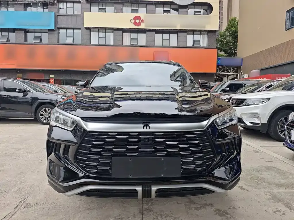 BYD Pro New Energy — фото 4