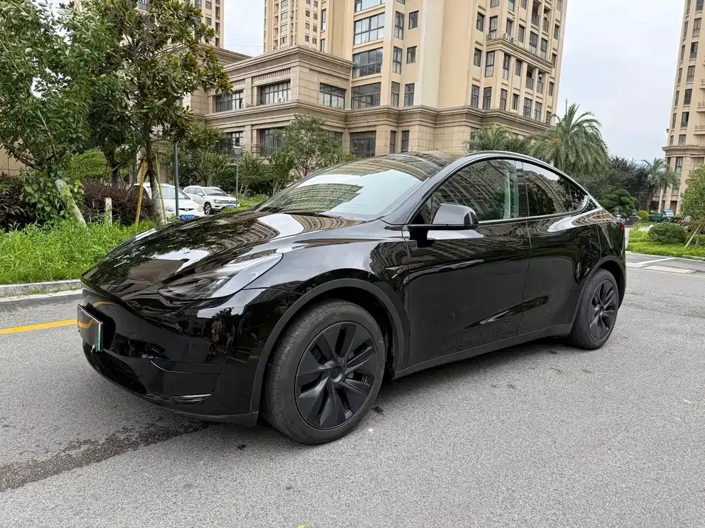 Tesla Model Y — фото 1