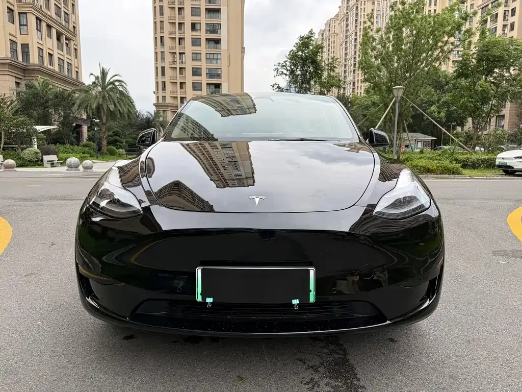 Tesla Model Y — фото 8
