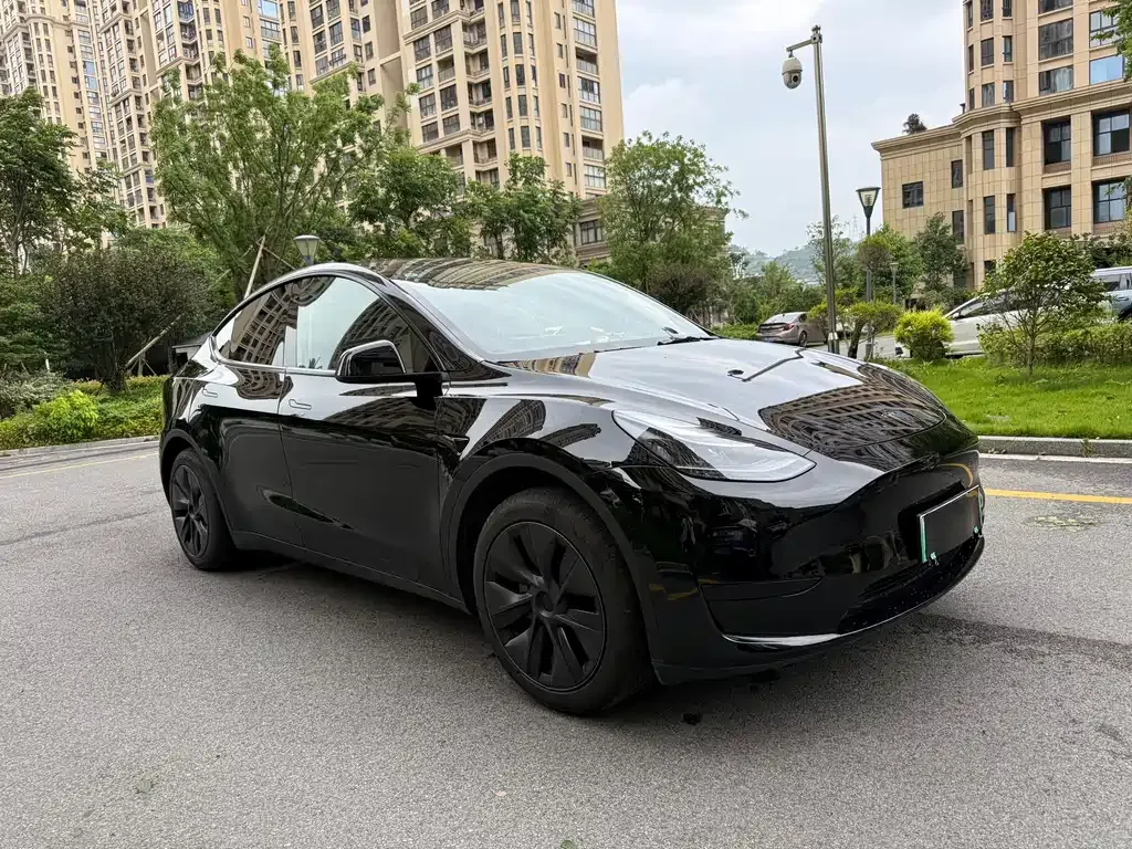 Tesla Model Y — фото 7