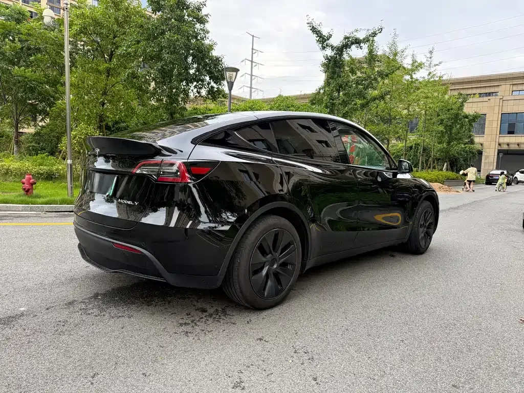 Tesla Model Y — фото 9