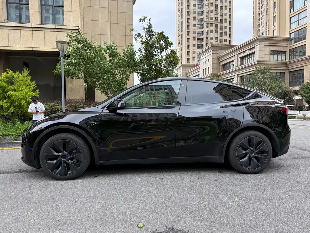 Tesla Model Y — фото 10