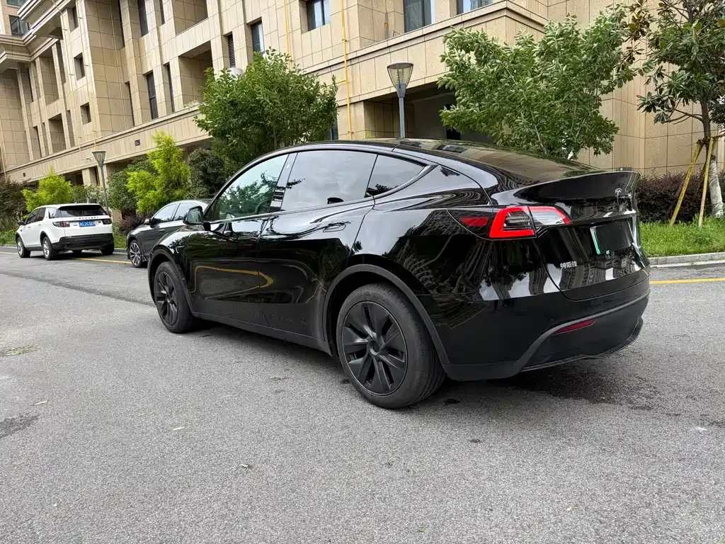 Tesla Model Y — фото 6