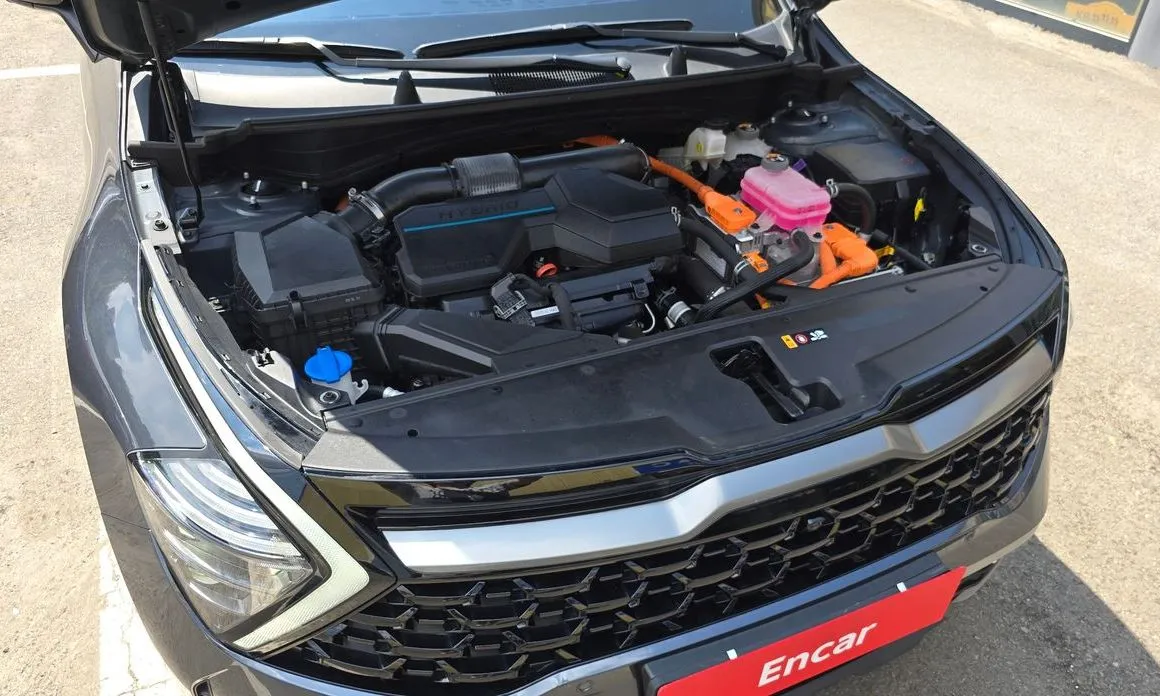 Kia Sportage — фото 9