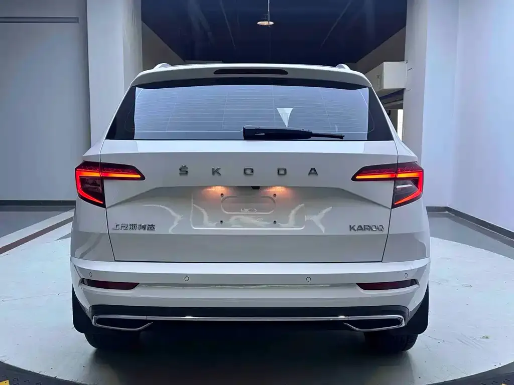 Skoda Karoq 2022 из CN, фото 4