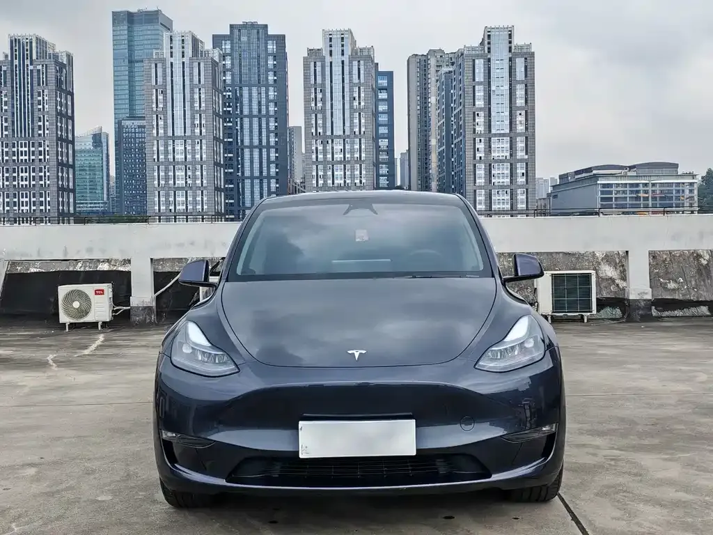 Tesla Model Y — фото 10