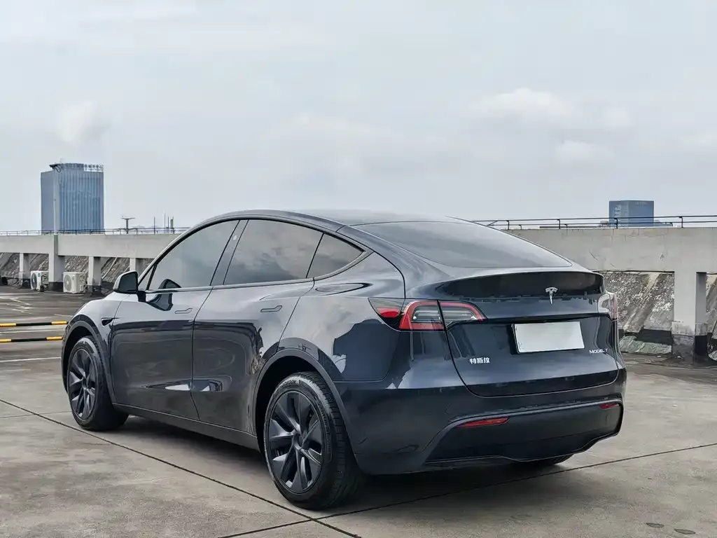Tesla Model Y — фото 7