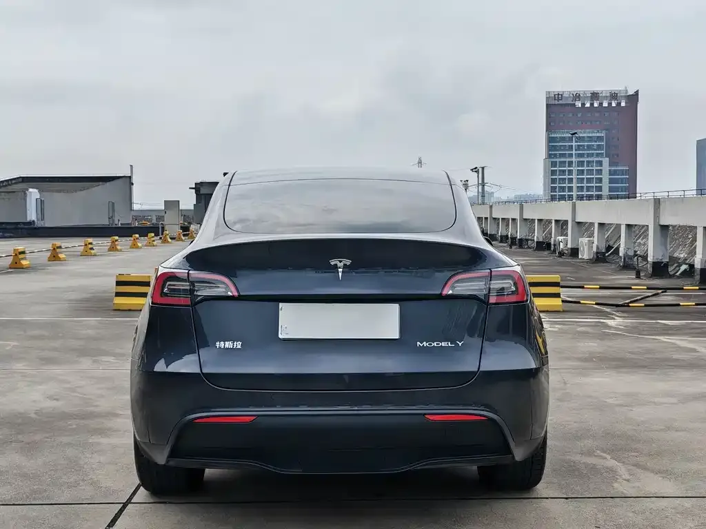 Tesla Model Y — фото 5