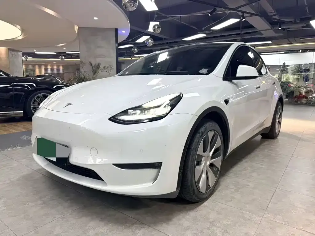 Tesla Model Y — фото 1