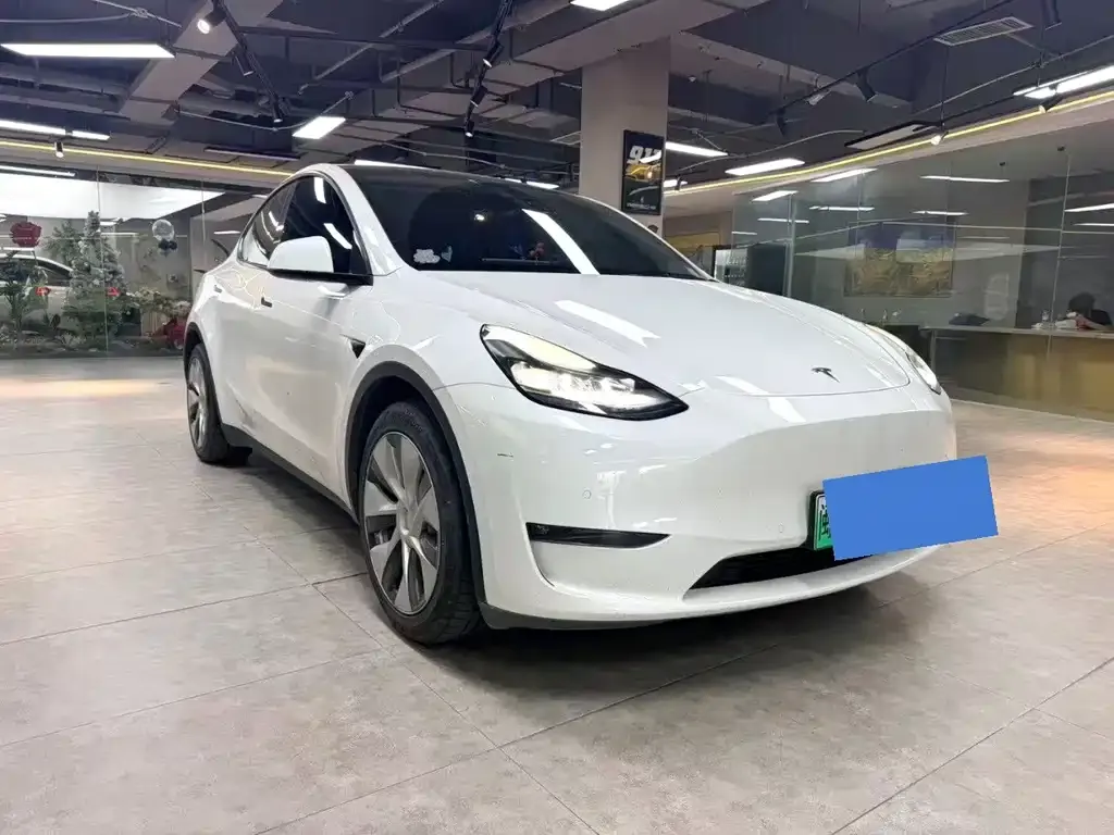 Tesla Model Y — фото 9