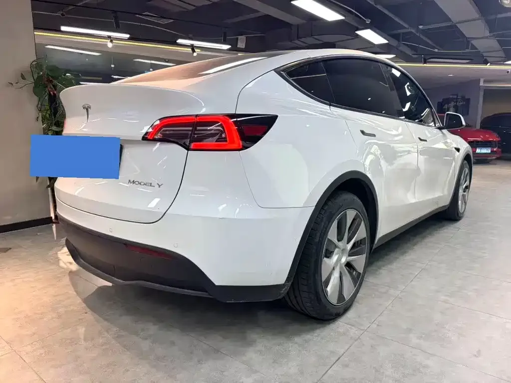 Tesla Model Y — фото 8