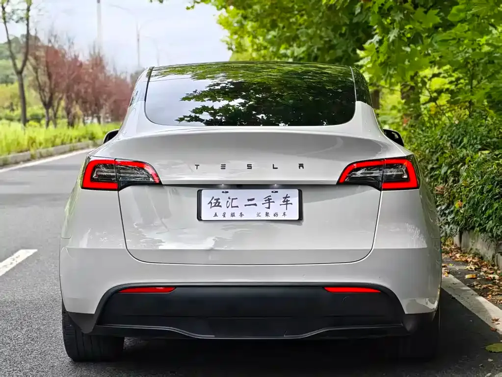 Tesla Model Y — фото 6