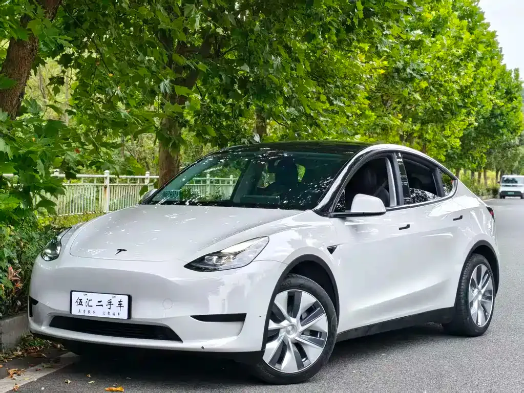 Tesla Model Y — фото 10