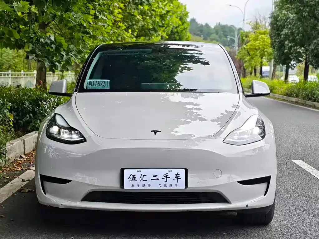 Tesla Model Y — фото 8