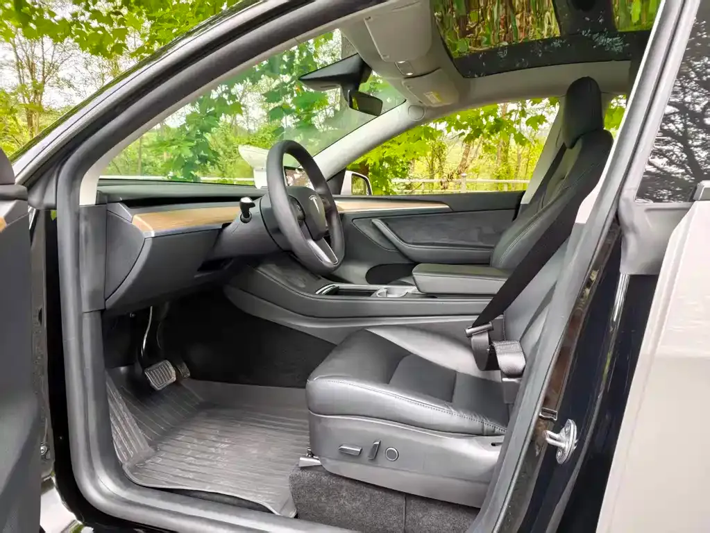 Tesla Model Y — фото 2