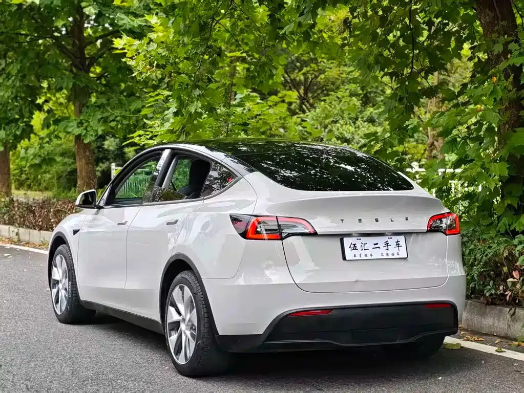 Tesla Model Y — фото 9