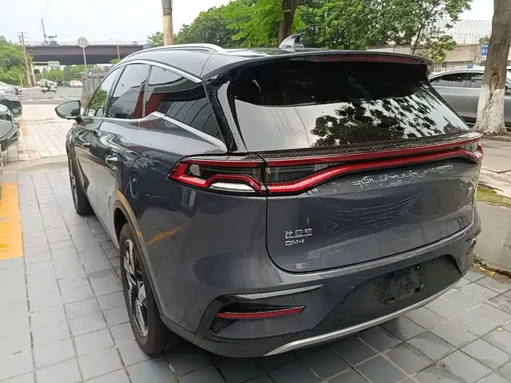 BYD Tang New Energy — фото 10