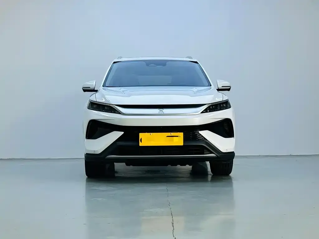BYD Pro New Energy — фото 5