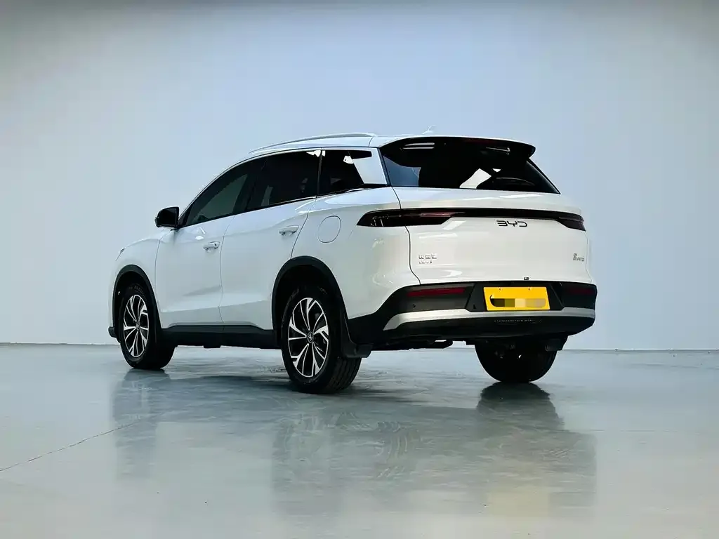 BYD Pro New Energy — фото 4