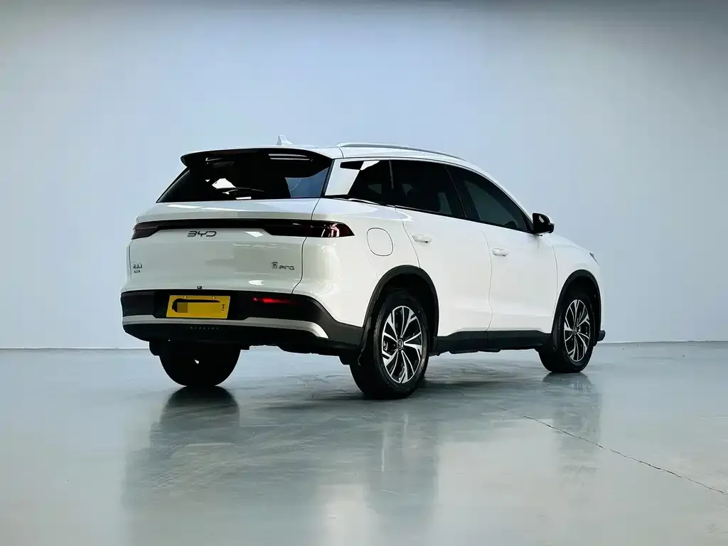 BYD Pro New Energy — фото 3