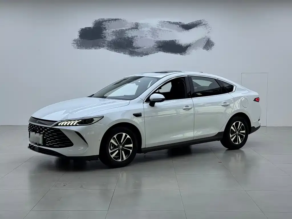 BYD Qin PLUS — фото 3