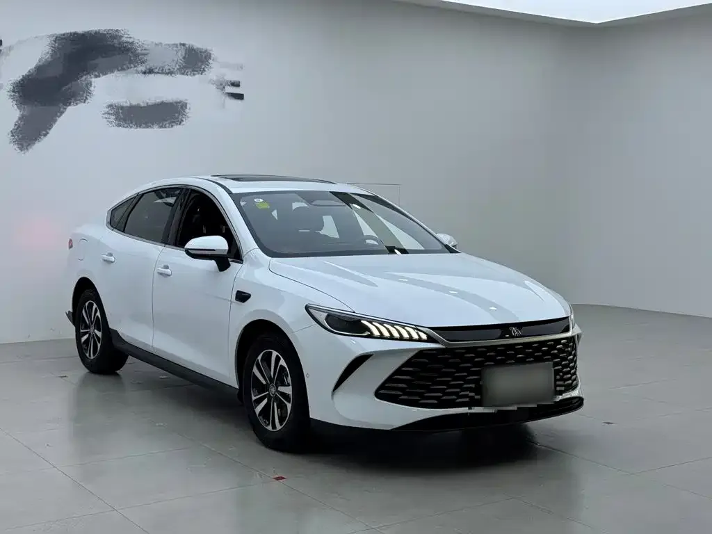 BYD Qin PLUS — фото 7