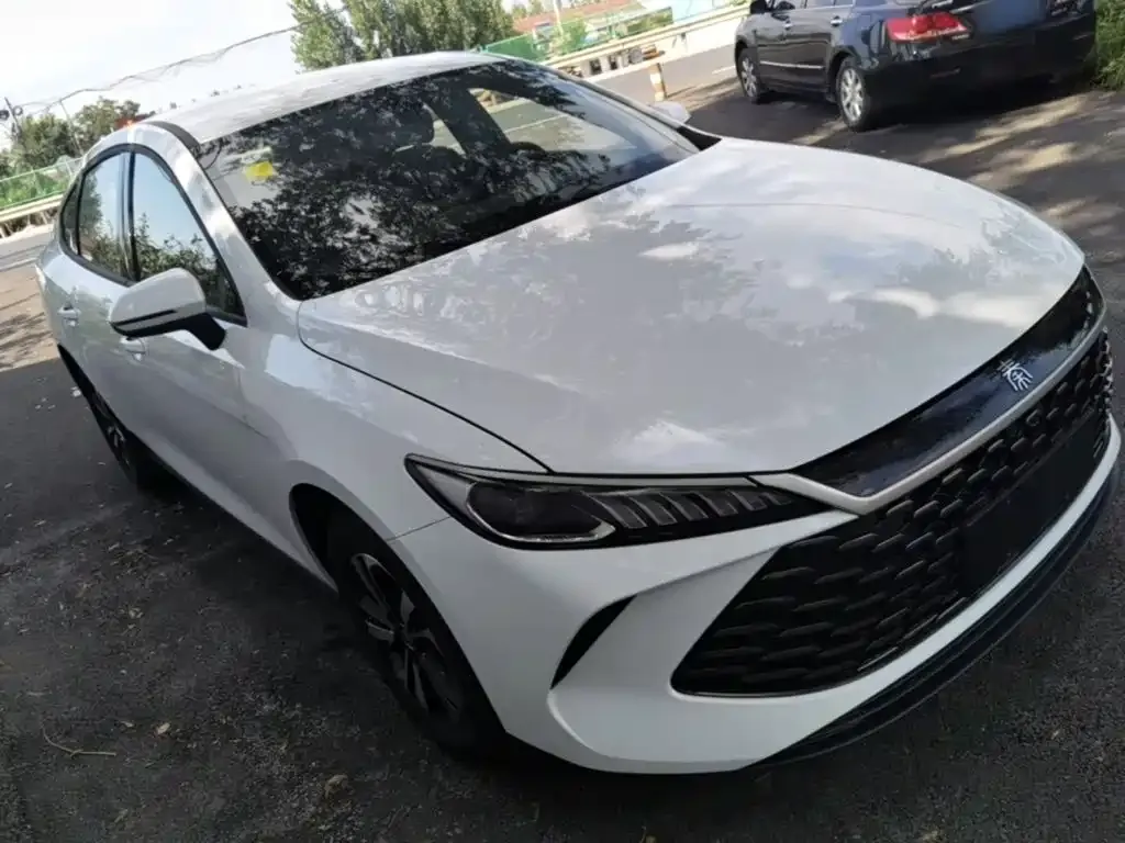 BYD Qin PLUS — фото 4