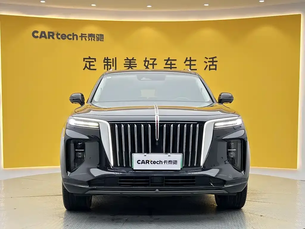 Hongqi E-HS9 — фото 6