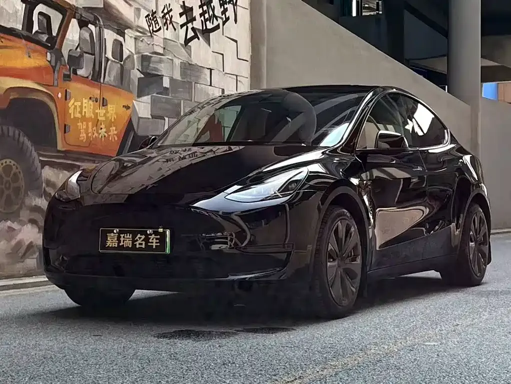 Tesla Model Y — фото 1