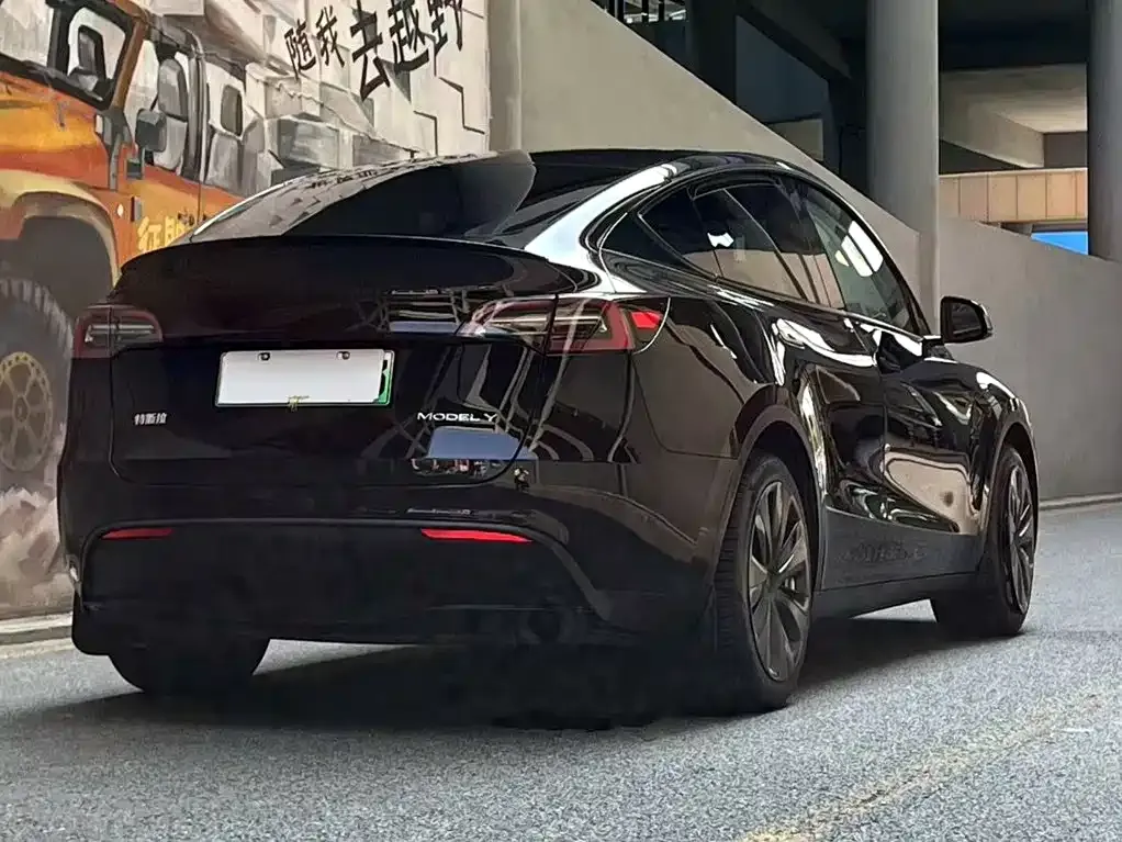 Tesla Model Y — фото 9
