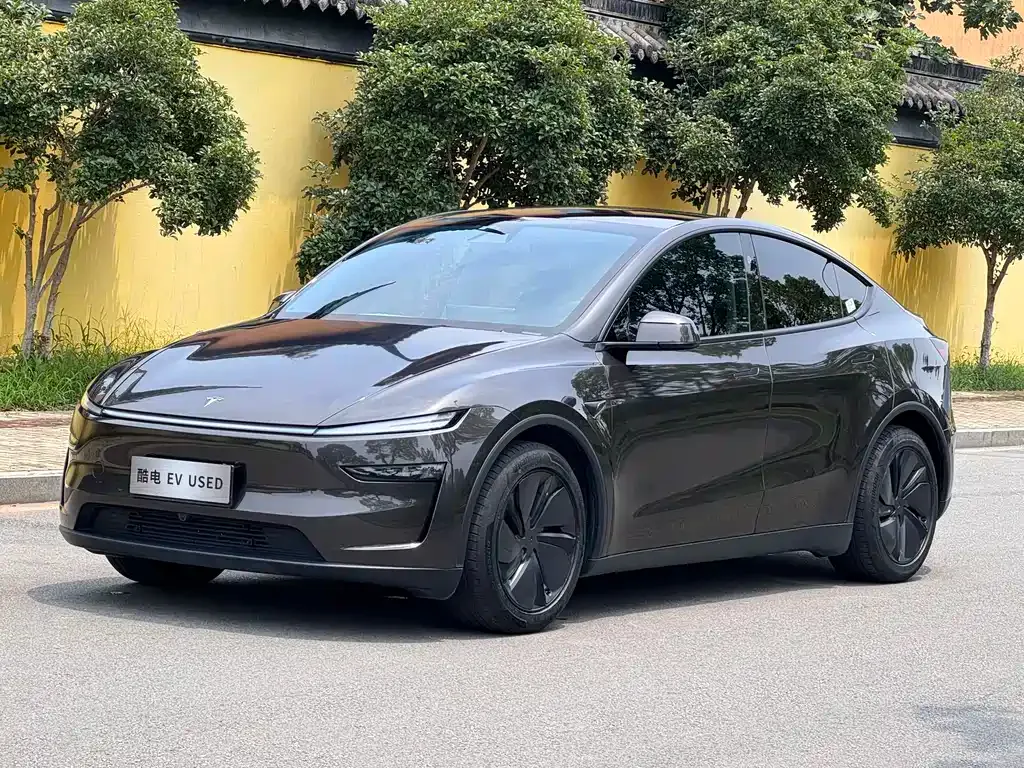 Tesla Model Y — фото 1
