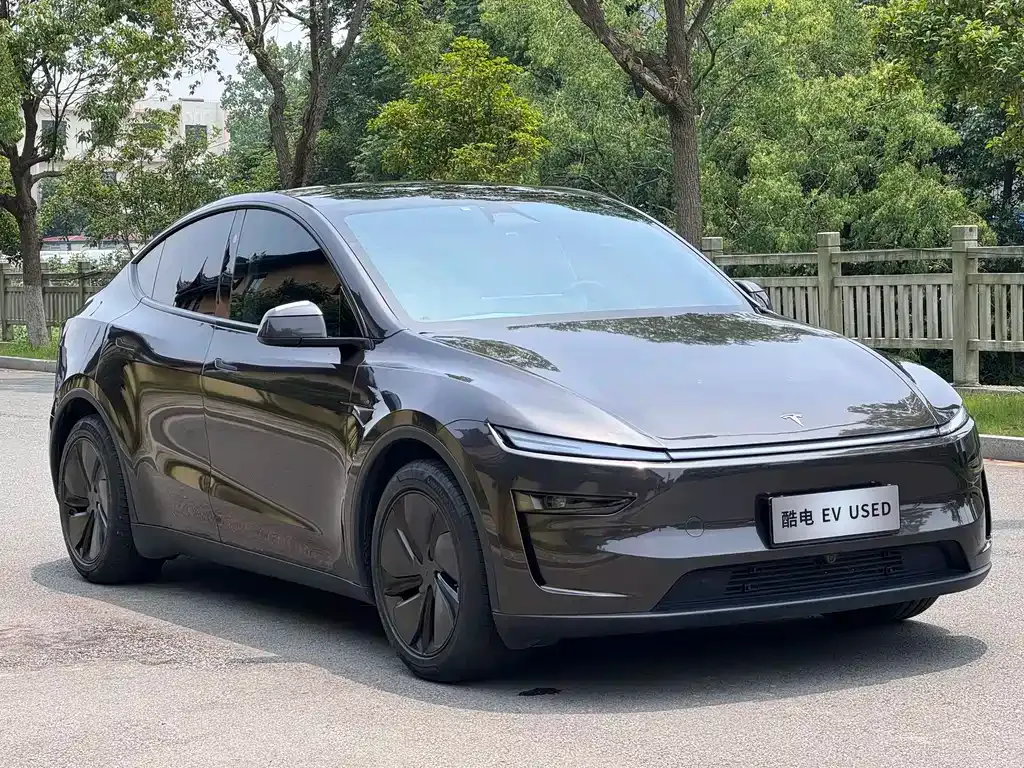 Tesla Model Y — фото 6