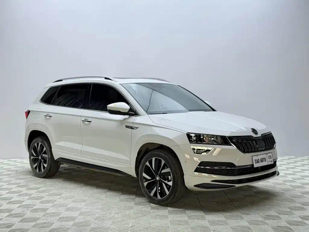 Skoda Karoq — фото 5