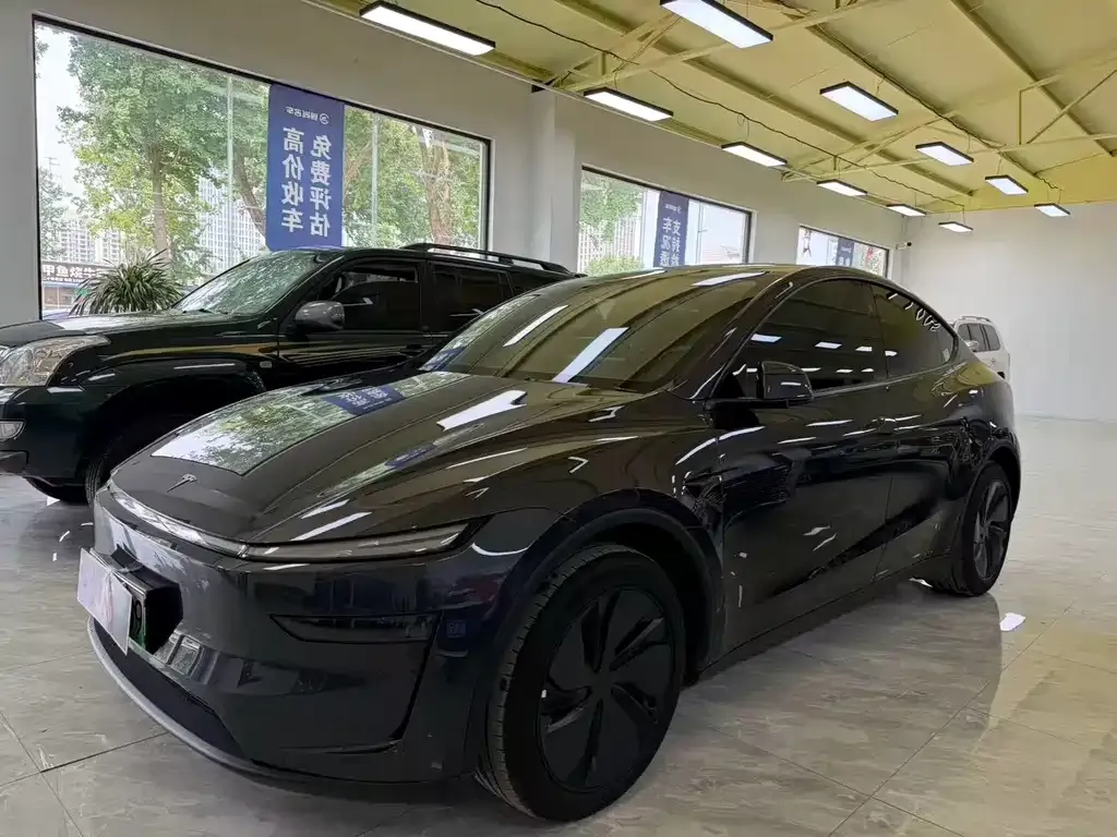 Tesla Model Y — фото 8