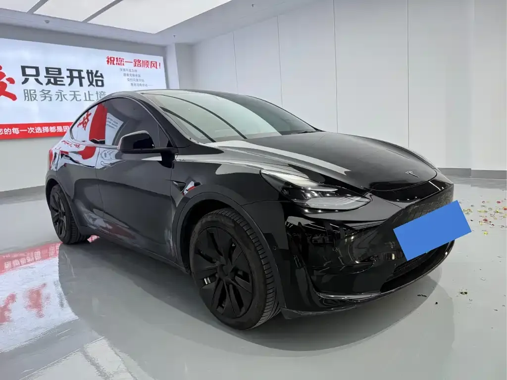 Tesla Model Y — фото 8