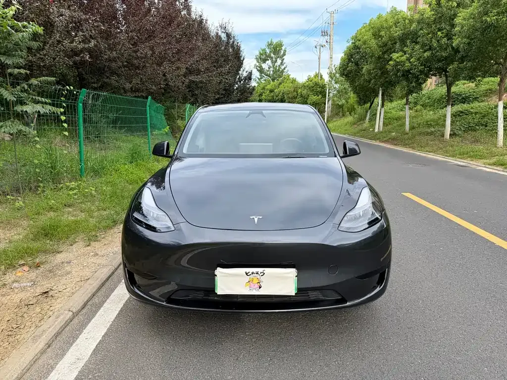Tesla Model Y — фото 10