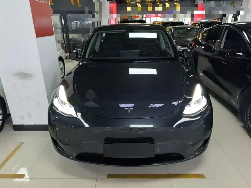 Tesla Model Y — фото 3