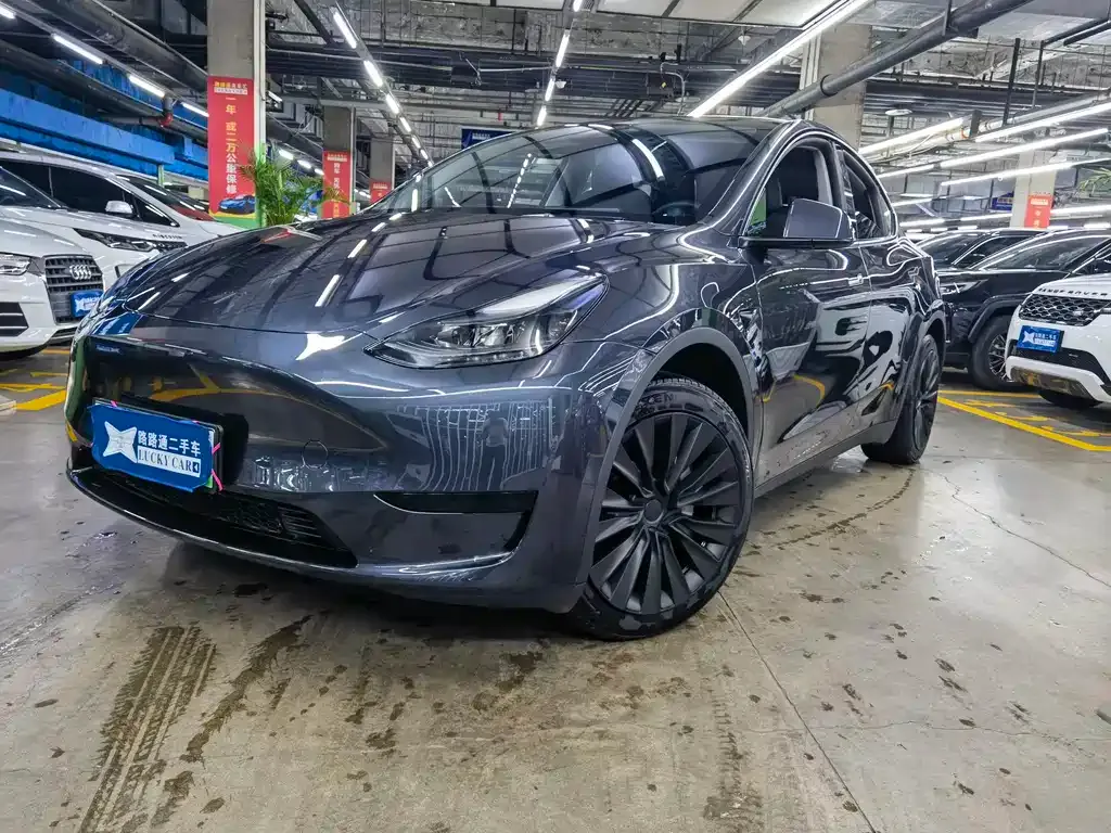 Tesla Model Y — фото 1