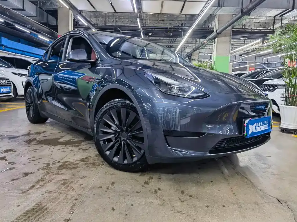 Tesla Model Y — фото 8