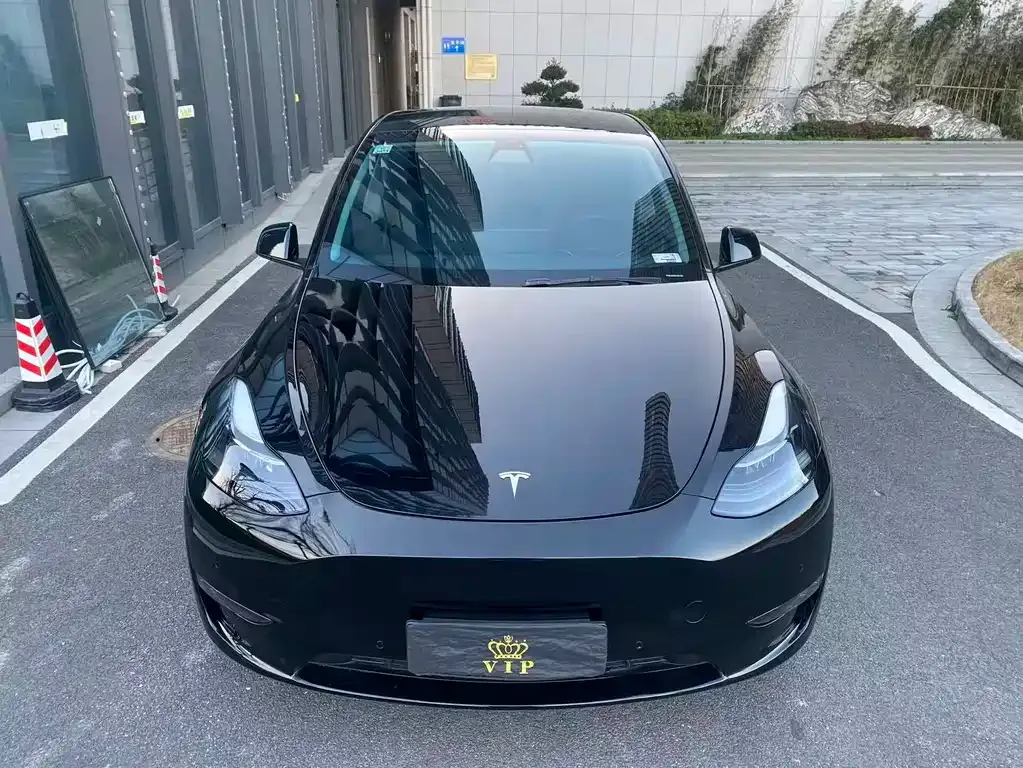 Tesla Model Y — фото 6