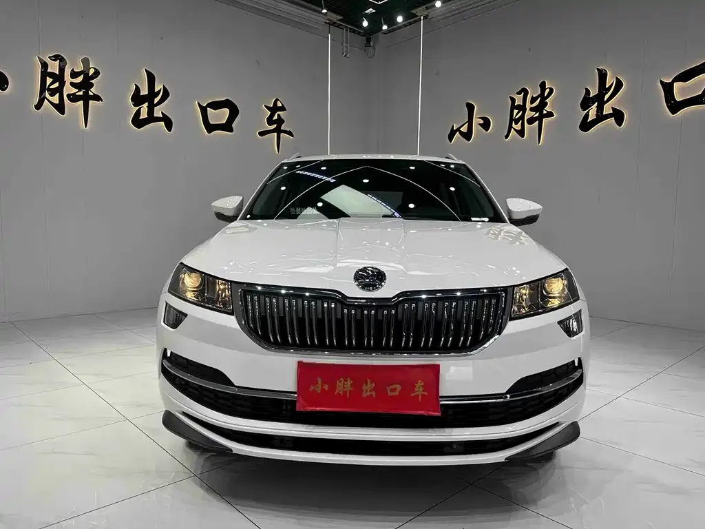 Skoda Karoq — фото 6