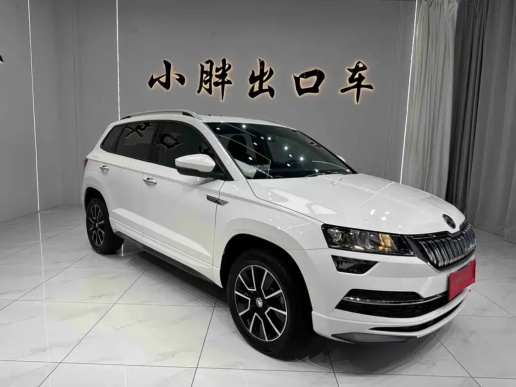 Skoda Karoq — фото 5
