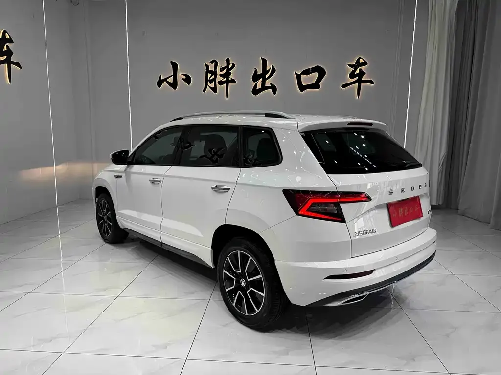 Skoda Karoq — фото 10